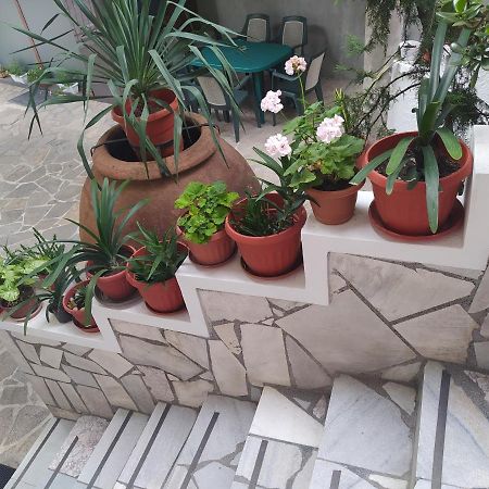 Каламанди Asenovgrad Esterno foto