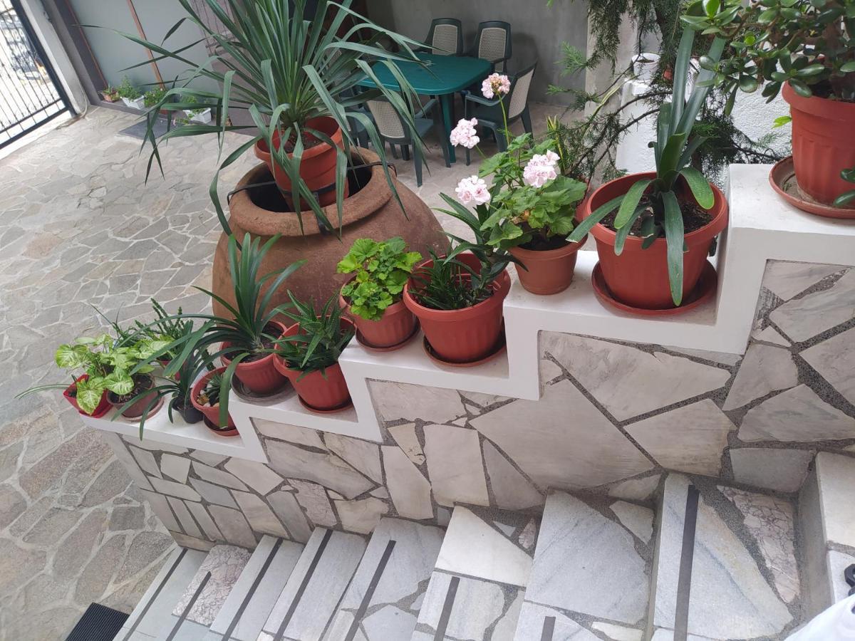 Каламанди Asenovgrad Esterno foto